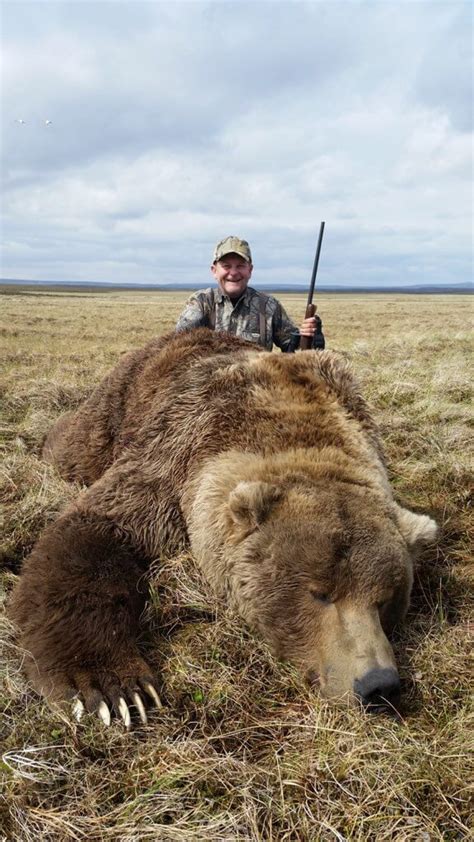 Giant Alaska Peninsula Brown Bear Great Value Worldwide Trophy