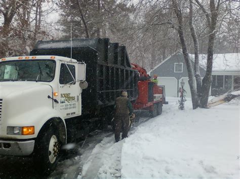 dump truck at job - Cape Cod Tree Service
