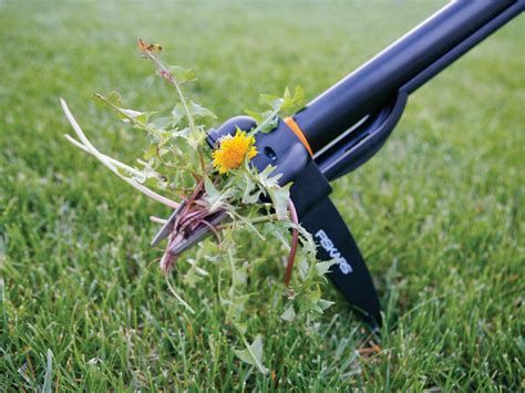 The lawn equipment that you can purchase in home and garden stores are virtually impossible to calibrate and i can treat that same square footage for approx.$50.00. How to Maintain a Healthy, Weed-Free Lawn | how-tos | DIY