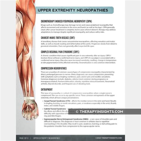 Upper Extremity Neuropathies Therapy Insights