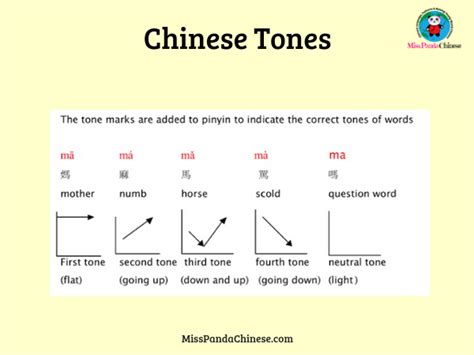 Practice Pinyin Tones