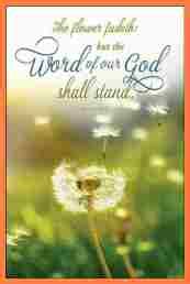 Church bulletin templates god s word inscription quote from free printable church bulletin covers , image source: Best Photos Of Church Bulletin Covers Free Printable Free ...