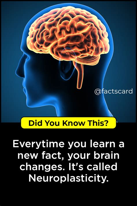 Did You Know This Wow Facts Wtf Fun Facts Intresting Facts