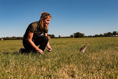 Het is een besluit van landbouwminister schouten. Hanne Tersmette - Vriezz Trading | Outdoor, hunting and ...