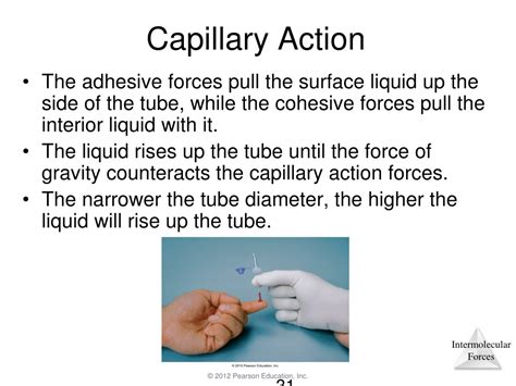 Ppt Liquids And Intermolecular Forces Lecture Powerpoint Presentation