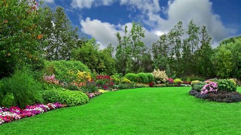 Beautiful Natural Flower Garden Background Video 1080p In 2019