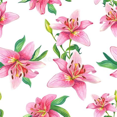 Pink Lilies Watercolor Seamless Pattern Stock Illustration