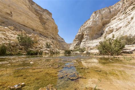 Ravine In The Negev Desert Stock Photo Image Of Bright 45447478