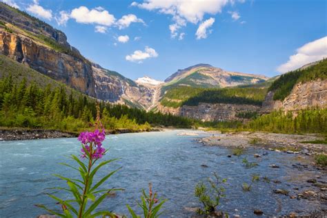 How To Hike The Berg Lake Trail In Mount Robson Provincial Park