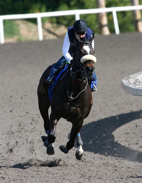 Zenyatta | Color Genetics