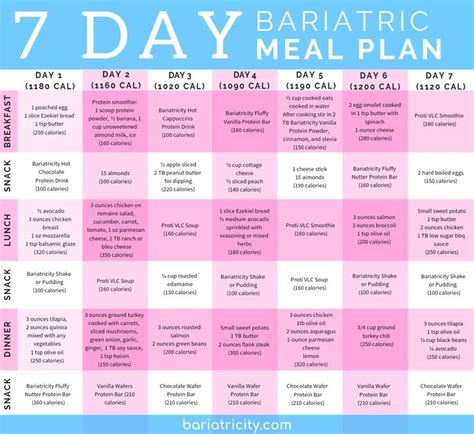 Bariatric Meal Planning Guide 7 Day Sample Meal Plan Bariatricity