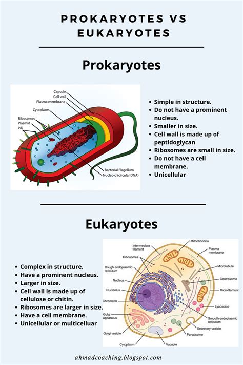 Prokaryotes Vs Eukaryotes Study Biology Teaching Biology Biology