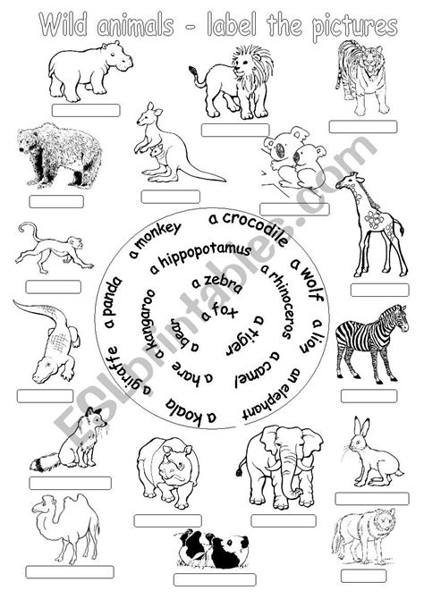 Wild Animals Label The Pictures Esl Worksheet By Diana561