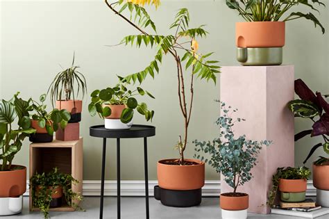 Best Plant Pots For Indoor Plants | London Evening Standard See more ideas about indoor plant pots, planters, indoor plants.