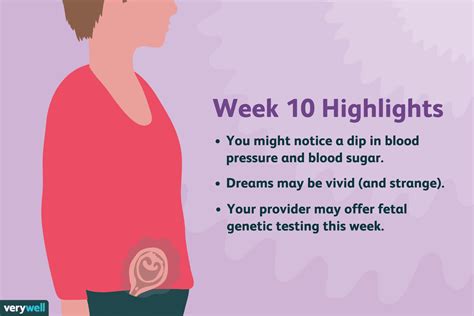 10 Weeks Pregnant Baby Development Symptoms And More