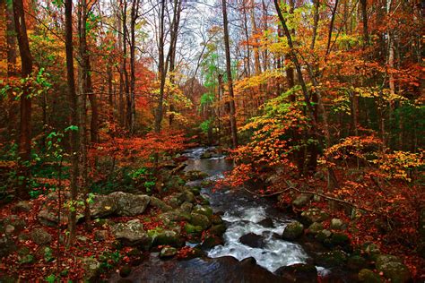 Fall Creek In The Great Smoky Mountains National Park Jo Flickr
