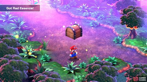 Hidden Treasures And Secrets Forest Maze Super Mario Rpg Tadpole