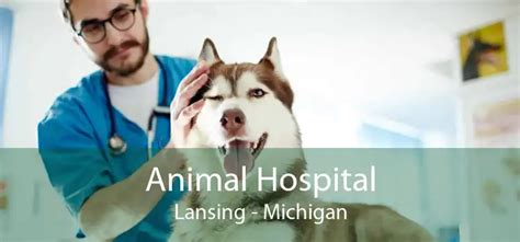 Animal Hospital Lansing Small Affordable And Emergency Animal Hospital