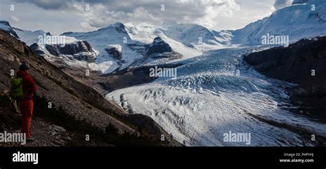 Mount Robson Hiking Snowbird Pass Stock Photo Alamy