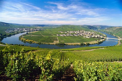 Moselle Germany Trip German Wine Wine Region
