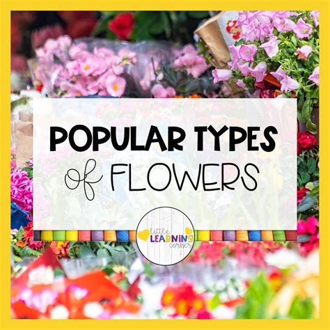 33 Fun Flower Facts For Kids Little Learning Corner