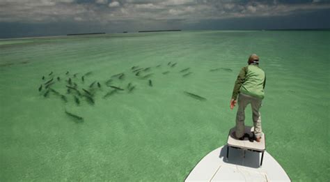 Fly Fishing For Tarpon In Key West And Florida Keys World Angling