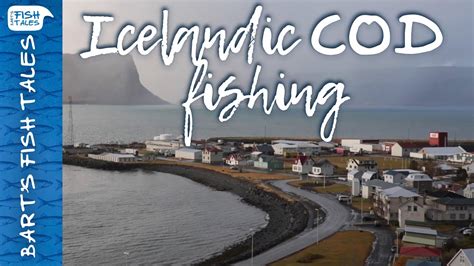 Icelandic Cod Fishing Bart Van Olphen Youtube