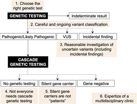 Application Of Genetic Testing In Hypertrophic Cardiomyopathy For