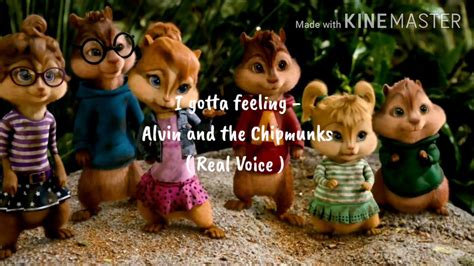 I Gotta Feeling Alvin And The Chipmunks Real Voice Youtube