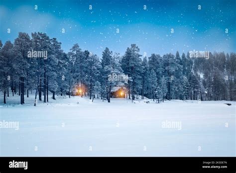 Winter Forest Snow Landscape In The Night Lapland Finland Stock Photo