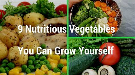 9 Nutritious Vegetables You Can Grow Yourself