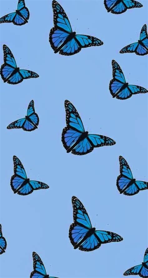 The Best 14 Dark Blue Aesthetic Wallpaper Butterfly Addcompassart