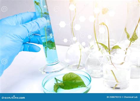 Laboratory Biology Experiments With Green Plants Science Experiment