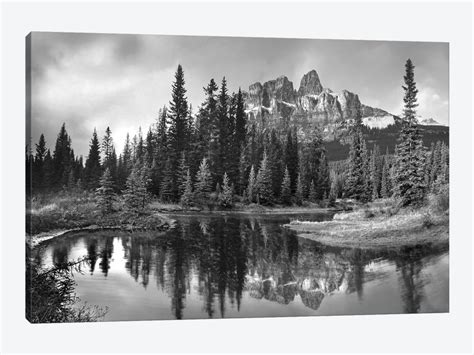 Castle Mountain And Boreal Forest Canvas Art Print Tim Fitzharris