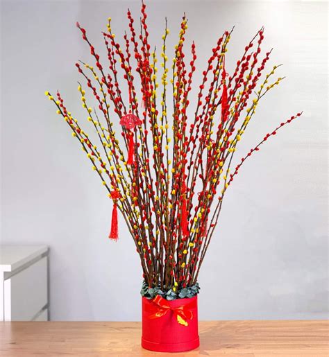 Red Pussy Willow Box Chinese New Year 2023 Hobbies And Toys Stationery And Craft Flowers