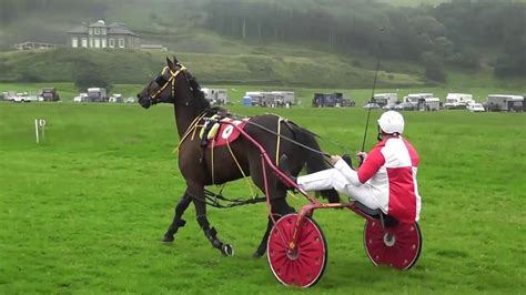 Aberystwyth Harness Races 2016 Nursery Race 2 Youtube