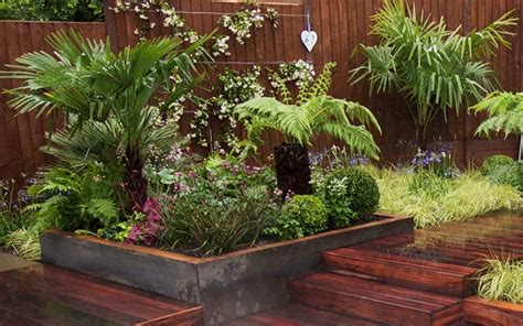 Raised garden beds are considered one of the most effective gardening techniques due to the numerous advantages they present. The 10 best plants to get a tropical garden style in Britain