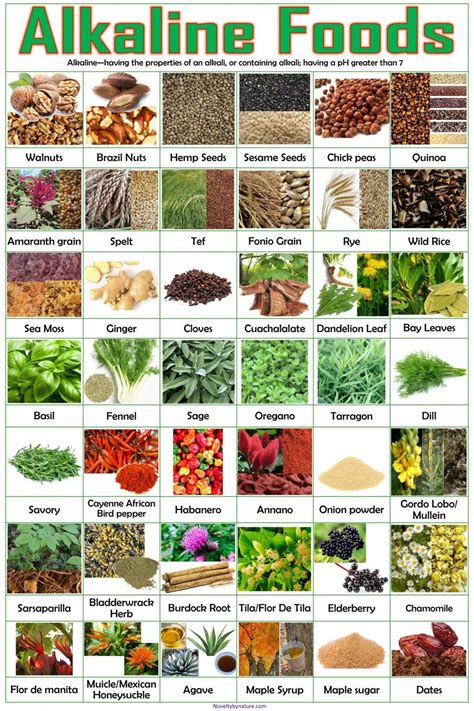 Grains Herbs Spices Alkaline Foods Poster Poster Canvas Wall Art