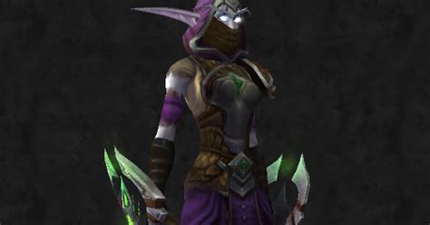 Master Of World Of Warcraft Transmogrification Leather Night Elven