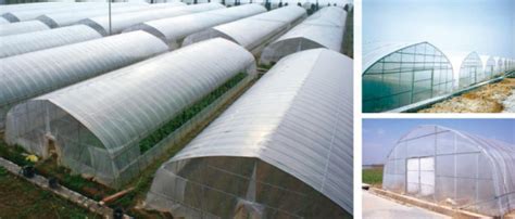 Greenhouse Types Of Greenhouse Structures Tidapars