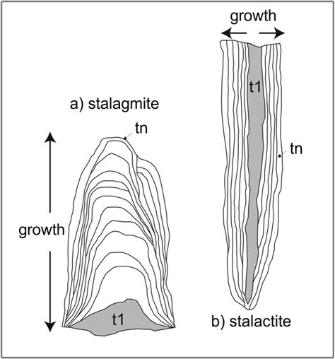 Sketch Of Growth Mode Of Stalagmites And Stalactites T1 And Tn Are