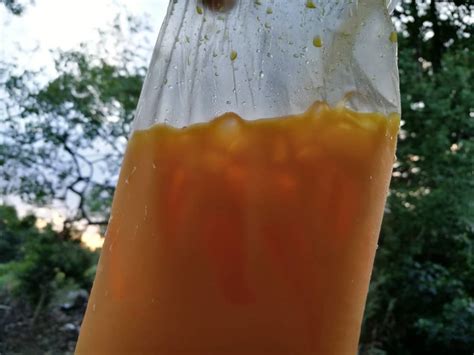 Dapat segelas air mangga susu. Blog Cikgu Zahidi: (Makan) Air Mangga Susu Pasar Malam ...