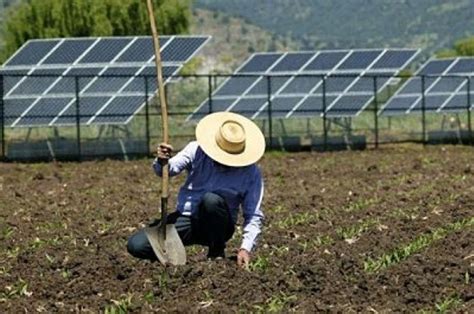 Argentina Promueve La Agricultura De Sus Campos Con Energía Solar