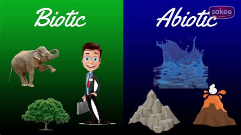 Our Environment Biotic And Abiotic Components Of Environment YouTube