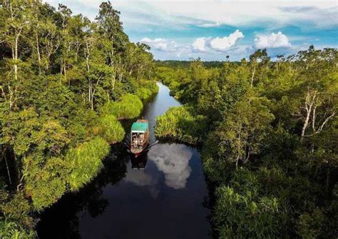 世界上最古老的10个雨林，亚马逊雨林排第七3巴拉排行榜