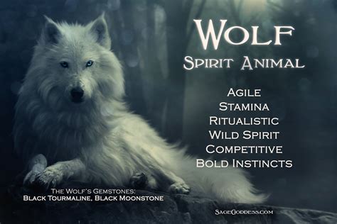 Wolf Spirit Animal Wolf Spirit Animal Animal Totem