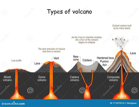 Volcano Type Shield Dome Composite And Caldera Stock Vector