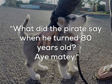 Really Bad One Liner Jokes Are Funnier With Dogs 24 Pics