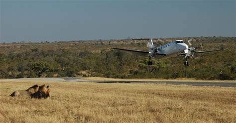 Airstrips In Serengeti National Park Serengeti National Park Airstrips