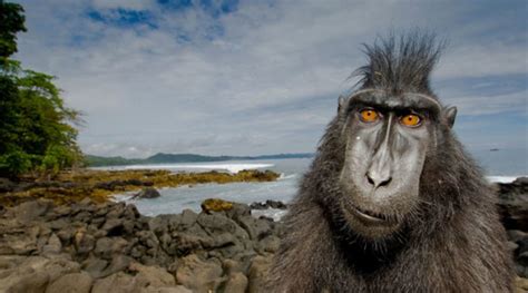 Top 6 Best Wildlife Photography Locations Worldwide
